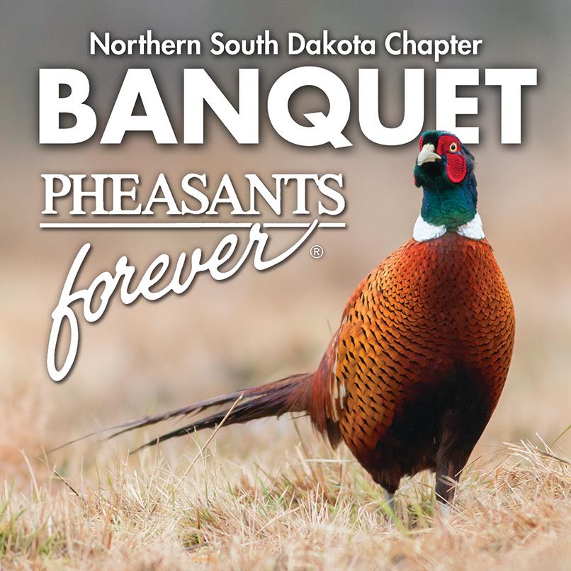 Pheasants Forever Spring Banquet Photo