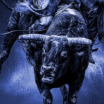 Bull Riding 1280x848 1