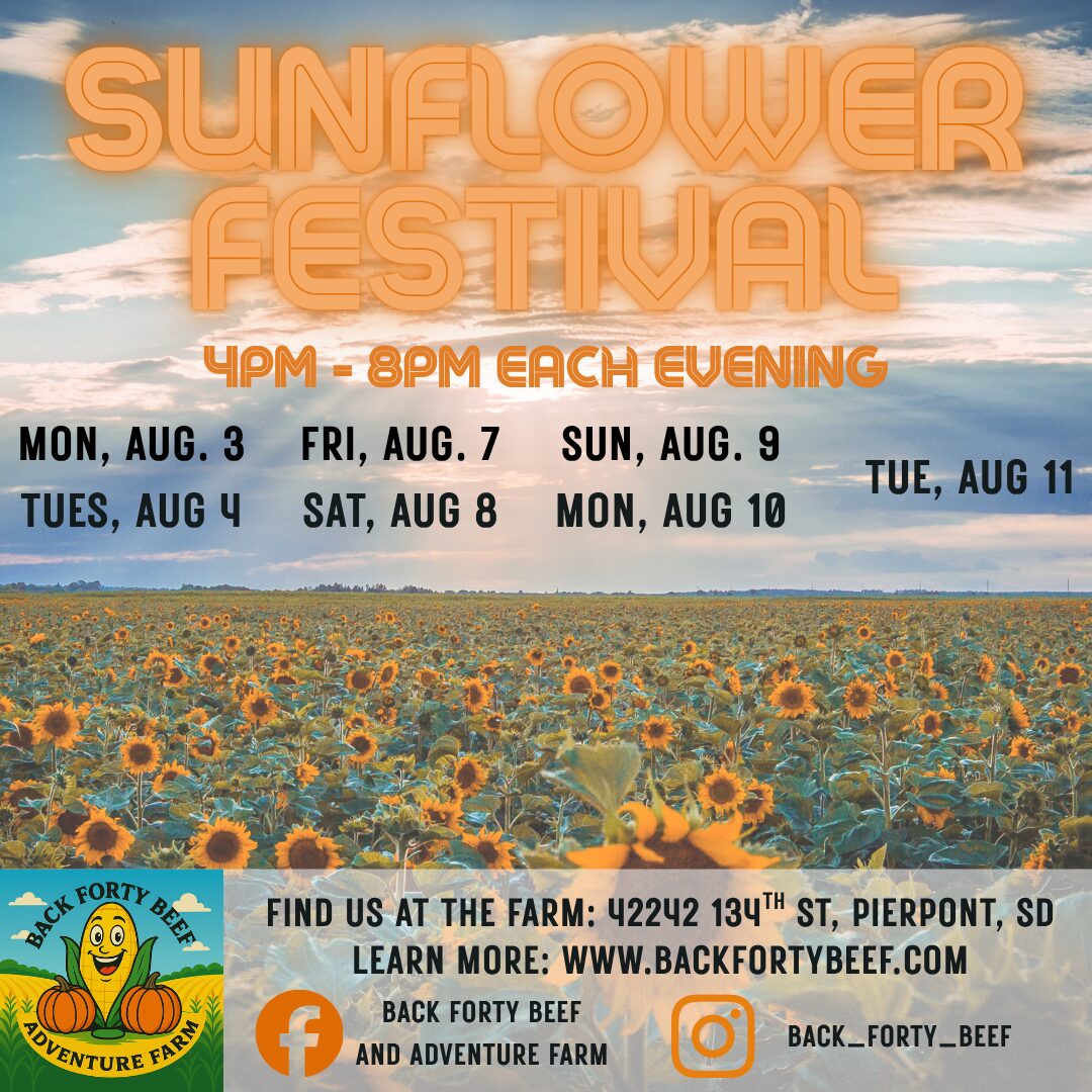 Sunflower Festival